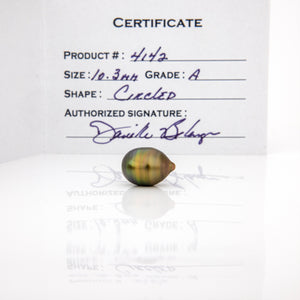 Fiji Loose Saltwater Pearl with Grade Certificate #4142 - FJD$
