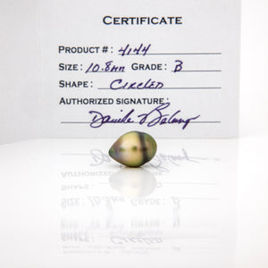 Fiji Loose Saltwater Pearl with Grade Certificate #4144 - FJD$