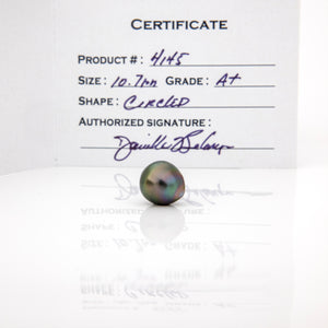 Fiji Loose Saltwater Pearl with Grade Certificate #4145 - FJD$