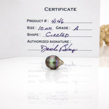Load image into Gallery viewer, Fiji Loose Saltwater Pearl with Grade Certificate #4146 - FJD$
