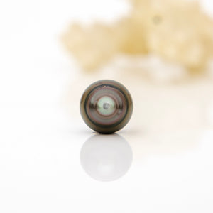 Fiji Loose Saltwater Pearl with Grade Certificate #4147 - FJD$
