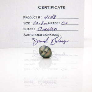 Fiji Loose Saltwater Pearl with Grade Certificate #4148 - FJD$