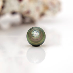 Fiji Loose Saltwater Pearl with Grade Certificate #4148 - FJD$