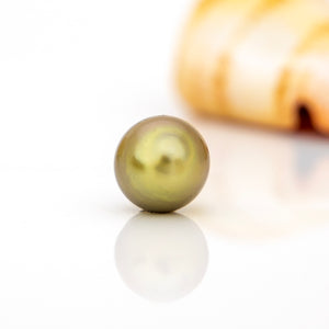 READY TO SHIP Graded Civa Fiji Pearl Necklace - 14k Solid Gold FJD$