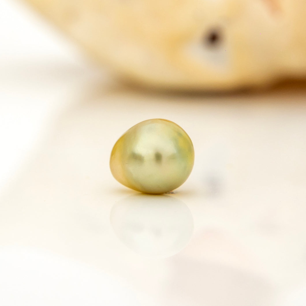 Fiji Loose Saltwater Pearl with Grade Certificate #4157 - FJD$