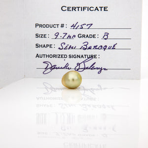 Fiji Loose Saltwater Pearl with Grade Certificate #4157 - FJD$