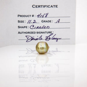 Fiji Loose Saltwater Pearl with Grade Certificate #4158 - FJD$