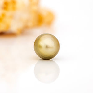 Fiji Loose Saltwater Pearl with Grade Certificate #4160 - FJD$