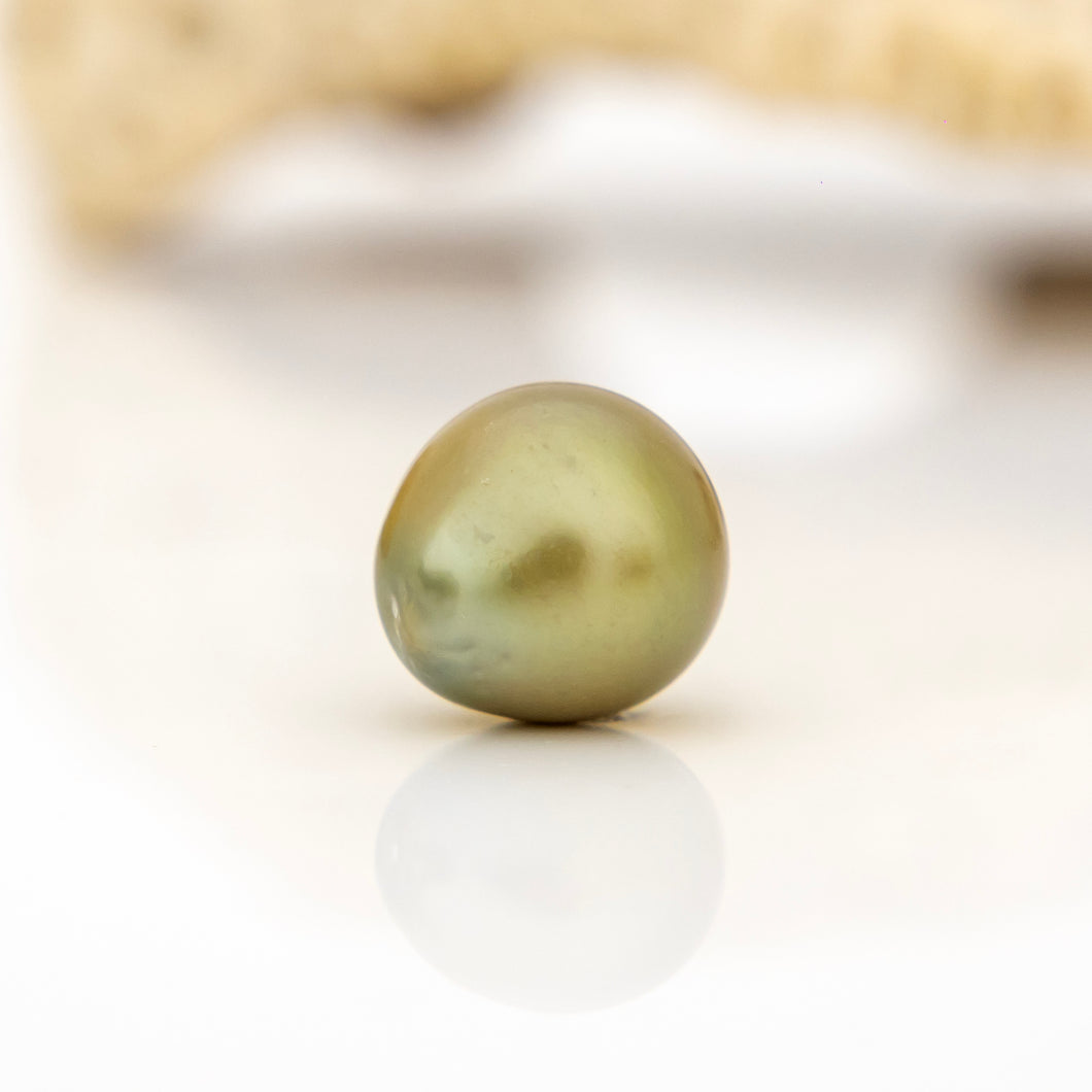 Fiji Loose Saltwater Pearl with Grade Certificate #4161 - FJD$
