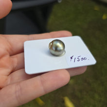 Load image into Gallery viewer, Fiji Loose Saltwater Pearl with Grade Certificate #4174 - FJD$
