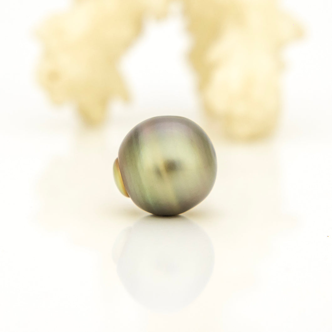 Fiji Loose Saltwater Pearl with Grade Certificate #4174 - FJD$