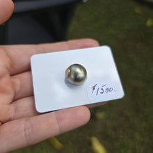 Load image into Gallery viewer, Fiji Loose Saltwater Pearl with Grade Certificate #4174 - FJD$
