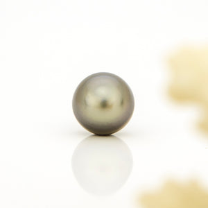 Fiji Loose Saltwater Pearl with Grade Certificate #4174 - FJD$
