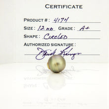 Load image into Gallery viewer, Fiji Loose Saltwater Pearl with Grade Certificate #4174 - FJD$
