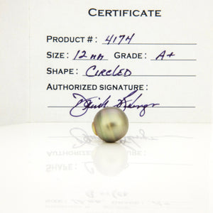 Fiji Loose Saltwater Pearl with Grade Certificate #4174 - FJD$