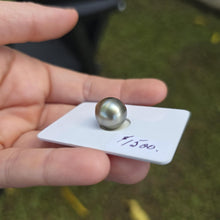 Load image into Gallery viewer, Fiji Loose Saltwater Pearl with Grade Certificate #4174 - FJD$
