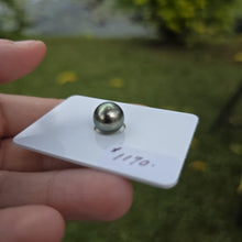 Load image into Gallery viewer, Fiji Loose Saltwater Pearl with Grade Certificate #4175 - FJD$
