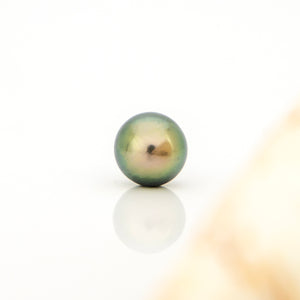 Fiji Loose Saltwater Pearl with Grade Certificate #4175 - FJD$