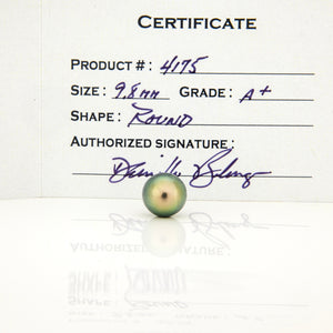 Fiji Loose Saltwater Pearl with Grade Certificate #4175 - FJD$