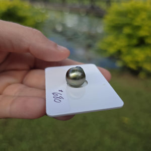 Fiji Loose Saltwater Pearl with Grade Certificate #4176 - FJD$