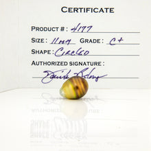 Load image into Gallery viewer, Fiji Loose Saltwater Pearl with Grade Certificate #4177 - FJD$
