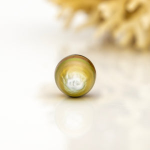 Fiji Loose Saltwater Pearl with Grade Certificate #4177 - FJD$