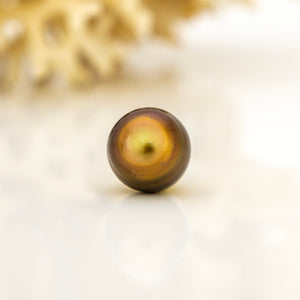 Fiji Loose Saltwater Pearl with Grade Certificate #4177 - FJD$