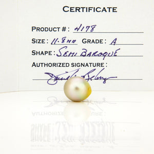 Fiji Loose Saltwater Pearl with Grade Certificate #4178 - FJD$