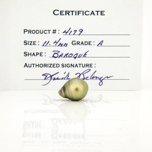 Fiji Loose Saltwater Pearl with Grade Certificate #4179 - FJD$