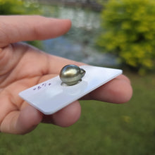 Load image into Gallery viewer, Fiji Loose Saltwater Pearl with Grade Certificate #4179 - FJD$
