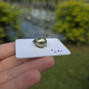 Fiji Loose Saltwater Pearl with Grade Certificate #4179 - FJD$
