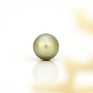 Fiji Loose Saltwater Pearl with Grade Certificate #4179 - FJD$