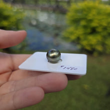 Load image into Gallery viewer, Fiji Loose Saltwater Pearl with Grade Certificate #4180 - FJD$

