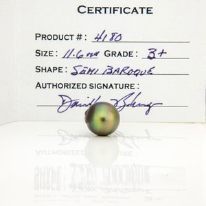 Fiji Loose Saltwater Pearl with Grade Certificate #4180 - FJD$