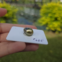 Load image into Gallery viewer, Fiji Loose Saltwater Pearl with Grade Certificate #4181 - FJD$
