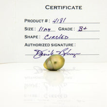 Load image into Gallery viewer, Fiji Loose Saltwater Pearl with Grade Certificate #4181 - FJD$
