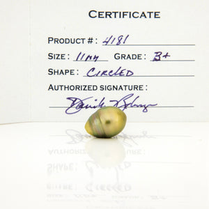 Fiji Loose Saltwater Pearl with Grade Certificate #4181 - FJD$