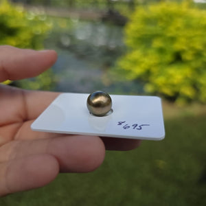 Fiji Loose Saltwater Pearl with Grade Certificate #4182 - FJD$