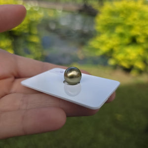 Fiji Loose Saltwater Pearl with Grade Certificate #4182 - FJD$