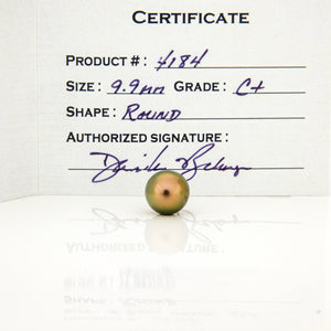 Fiji Loose Saltwater Pearl with Grade Certificate #4184 - FJD$