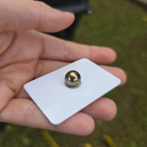 Fiji Loose Saltwater Pearl with Grade Certificate #4184 - FJD$