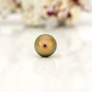 Fiji Loose Saltwater Pearl with Grade Certificate #4184 - FJD$