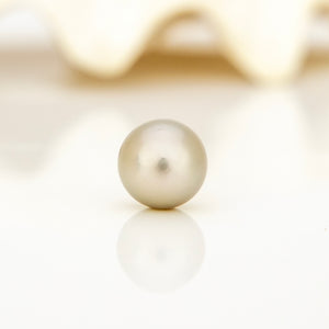 Fiji Loose Saltwater Pearl with Grade Certificate #4185 - FJD$