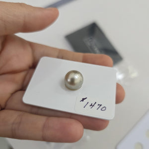 Fiji Loose Saltwater Pearl with Grade Certificate #4185 - FJD$