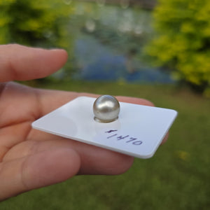 Fiji Loose Saltwater Pearl with Grade Certificate #4185 - FJD$