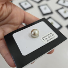 Load image into Gallery viewer, Fiji Loose Saltwater Pearl with Grade Certificate #4185 - FJD$

