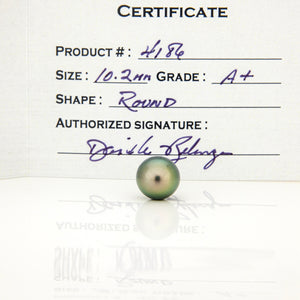 READY TO SHIP Civa Fiji Saltwater Graded Pearl Hoop Earrings - 925 Sterling Silver FJD$