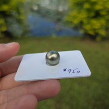 Load image into Gallery viewer, Fiji Loose Saltwater Pearl with Grade Certificate #4187 - FJD$
