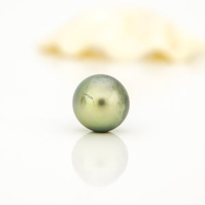 Fiji Loose Saltwater Pearl with Grade Certificate #4187 - FJD$