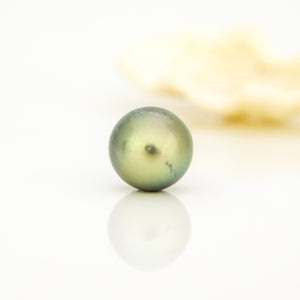 Fiji Loose Saltwater Pearl with Grade Certificate #4187 - FJD$
